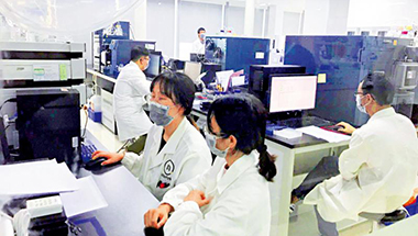 与会嘉宾就香港发展发言要点