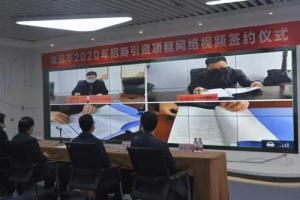 南阳：“云招商”助引资添活力