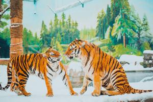 今日起 河南多家景区恢复开园