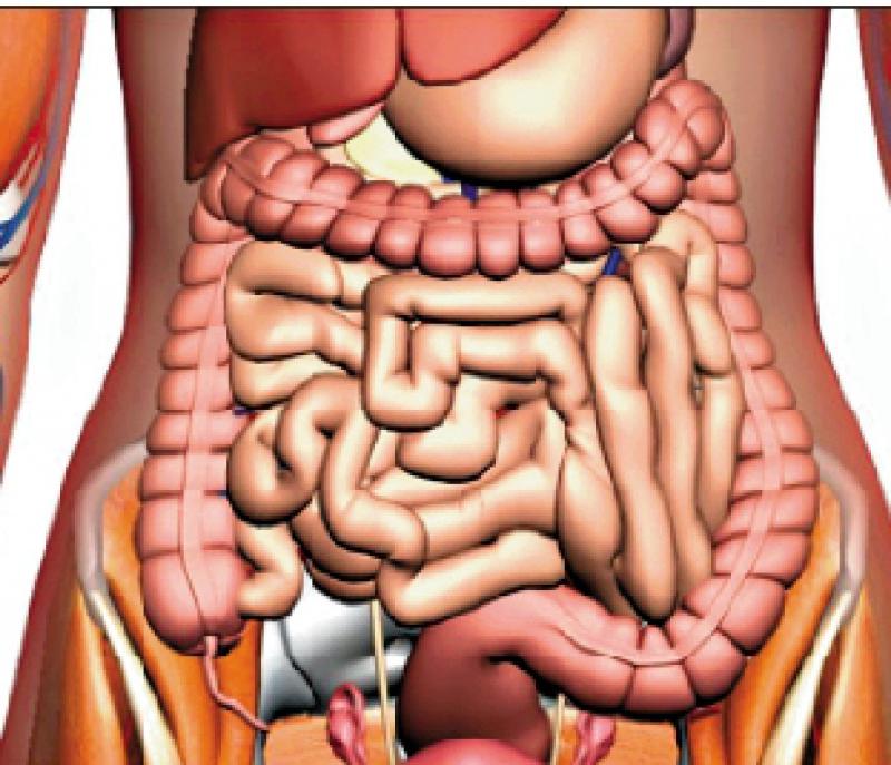 ﻿常见致肥原因