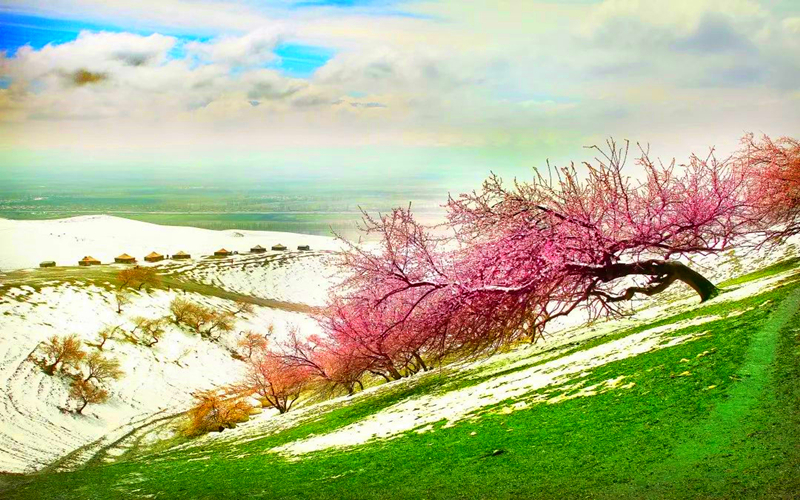 看完24节气倒计时，就把虎年第一场旅行留给新疆