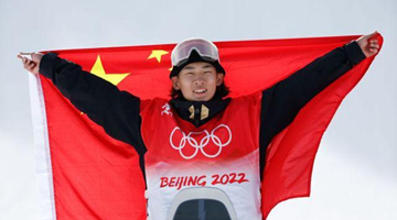 苏翊鸣教练恳请终止批评裁判