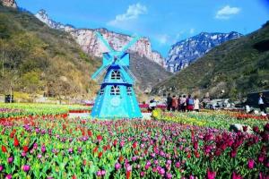 3月底前 河南226家景区免门票