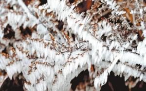 豫景区免门票首日 游客欢喜 景区欢迎 旅行社欢欣