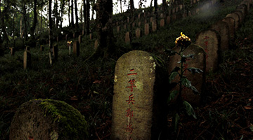 中国远征军忆松山战役后：除了尸体还是尸体