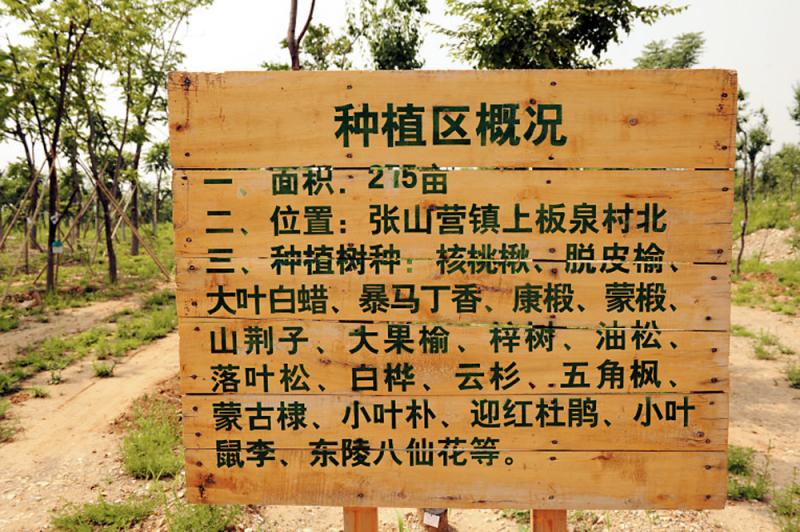 生态保护/“XCXQ-MGL-008” 见证绿色冬奥