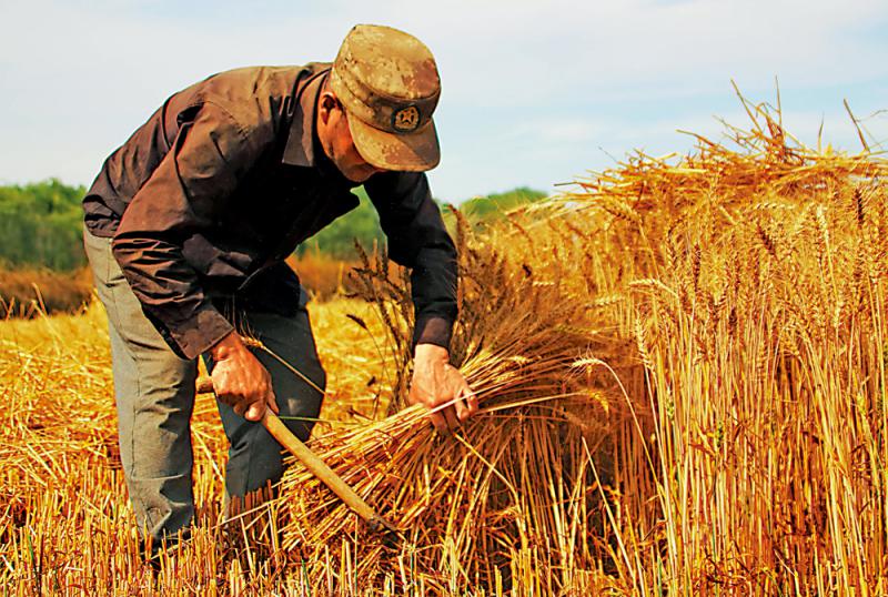 书海漫游/读懂舌尖上的历史