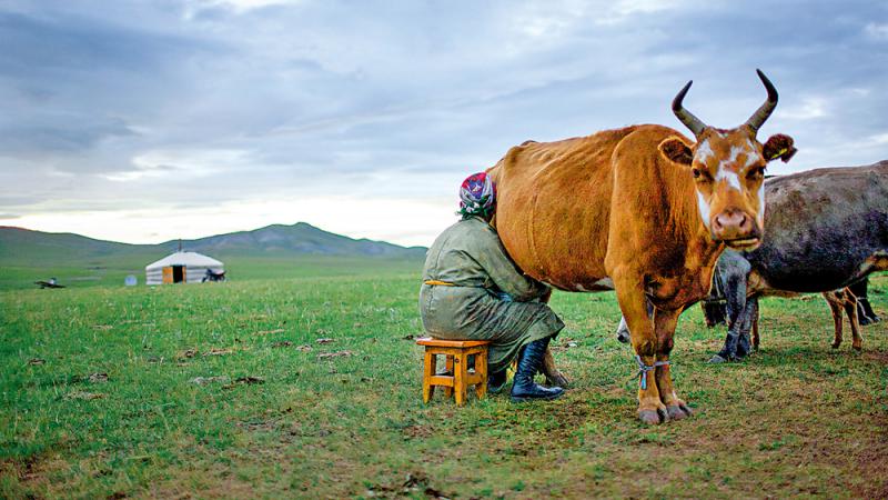 做个有文化的“吃货”\谷中风