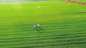 春耕春管正当时