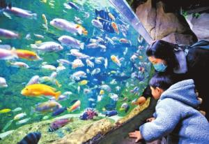 河南226家景区免票 亲子游项目最火爆