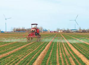 老农技人的新课题