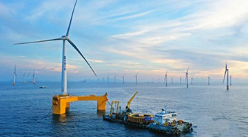 两会前瞻 | 直面挑战，中国如何奏响咏“碳”调？