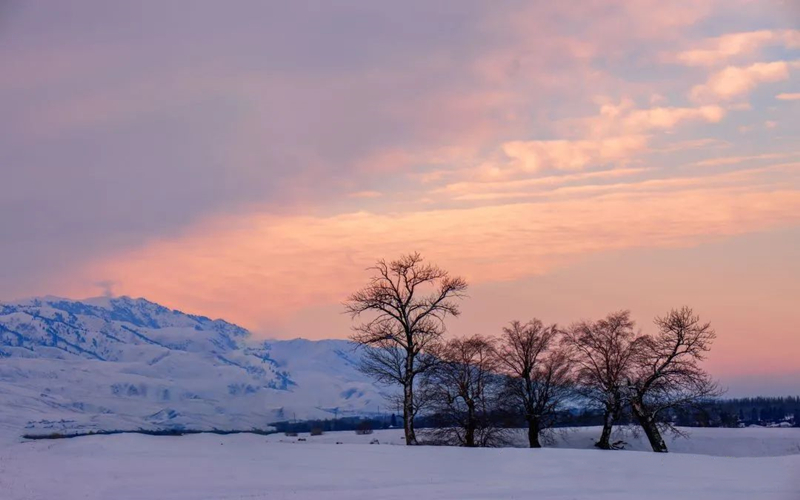 人间仙境风雪秘界｜那拉提摄影作品展（四）