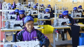 甘肃代表提案聚焦乡村振兴