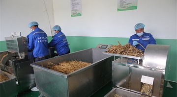 甘肃代表委员建议加强中药材种苗繁育体系建设 推进中医药高质量发展