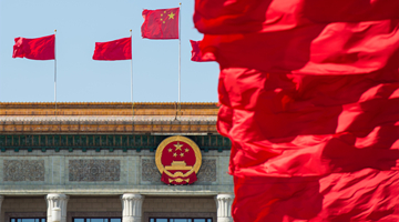 汪洋：进一步提升爱国爱港爱澳力量能力建设