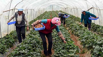 政府工作报告丨确保不发生规模性返贫