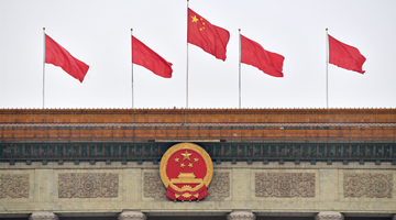 李克强：今年大力抓好农业生产 促进乡村全面振兴