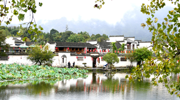 全国人大代表张宝艳：建议尽早取缔农村恶搞式婚闹