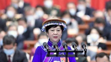 全国政协委员韦震玲建议让全职太太成为合法职业