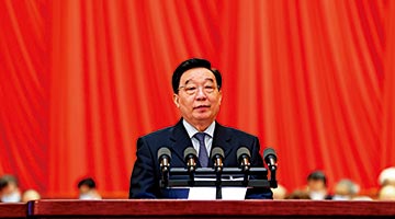 王晨：犯危害国安罪者失参选资格