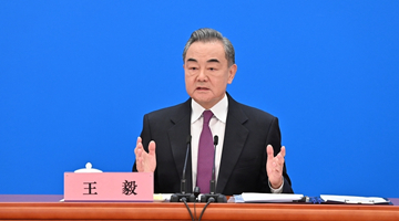 王毅：“印太战略”是企图搞印太版“北约”