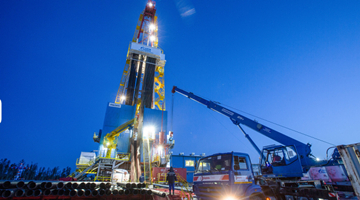 德国总理：俄能源至关重要 德方将继续购买俄方油气煤