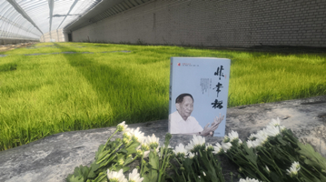 侵害袁隆平名誉案写入最高法工作报告