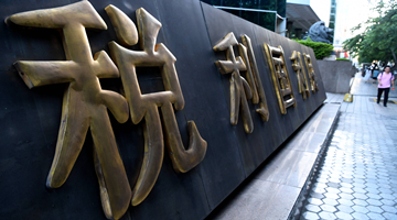 全国人大代表沈春耀：建议研判明星巨额逃税是否入刑