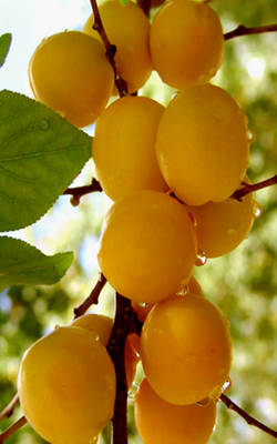 新疆巴州精彩文旅活动抢鲜看！