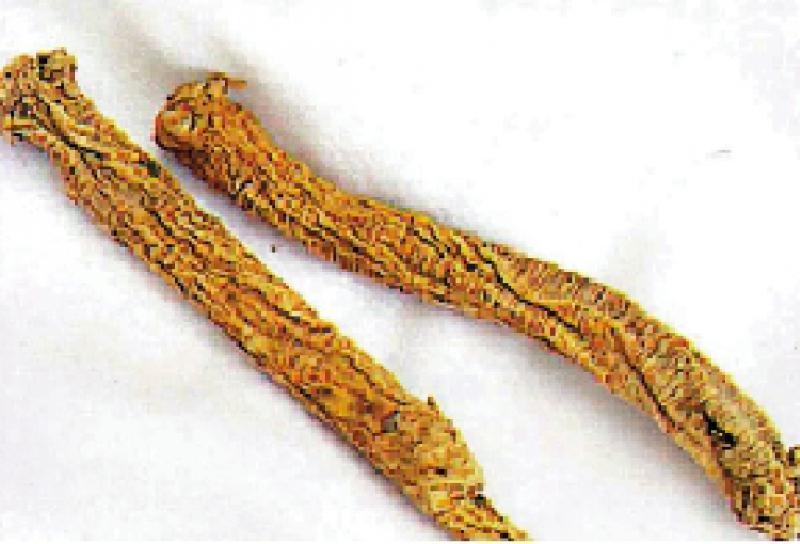 ﻿药食同源/润肺止咳汤水