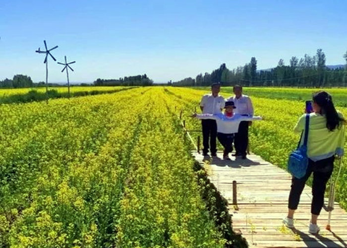 跟上春天的脚步，快来解锁巴州踏青“打卡”地