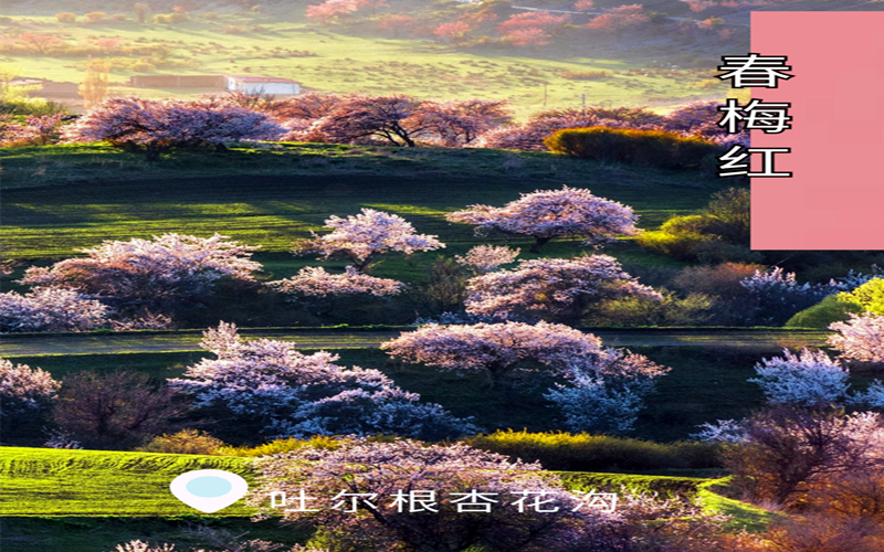 大美新疆+中国古典色=？