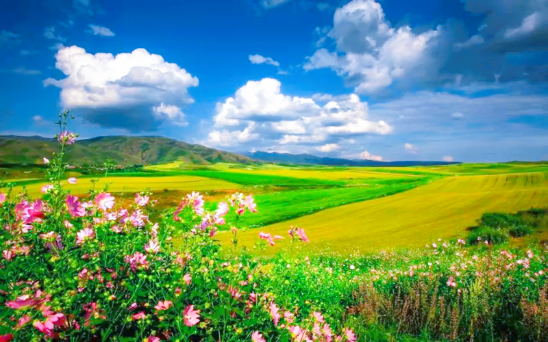 接下来的几个月，从打卡G219(塔城段）山花开始