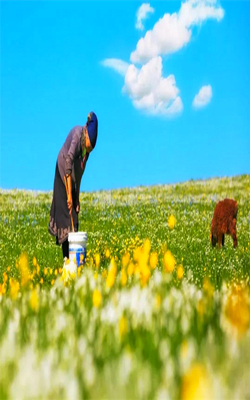 塔城：大地上一幅立体油画