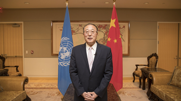 中国代表：支持安理会在乌克兰人道问题上发挥作用