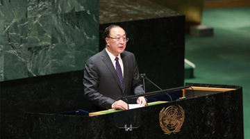 中国代表：对话谈判是应对乌克兰危机的唯一出路