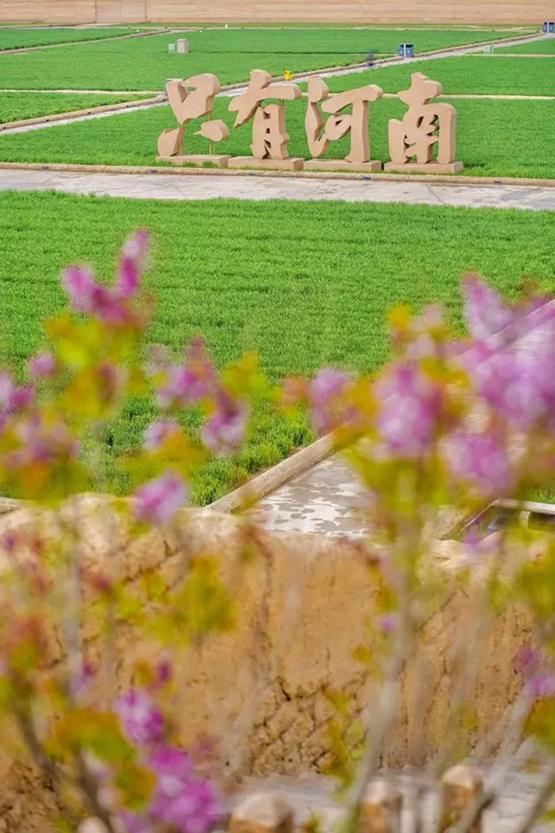 繁花竞相开放岁月暖 幻城春意浓
