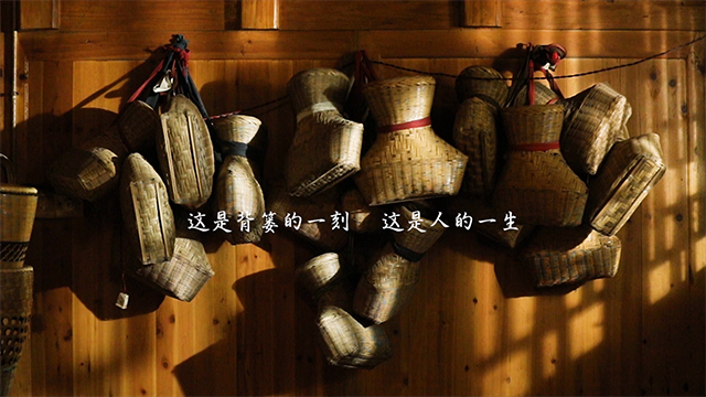 参赛鼓励奖《与篓相伴 不忘初心》