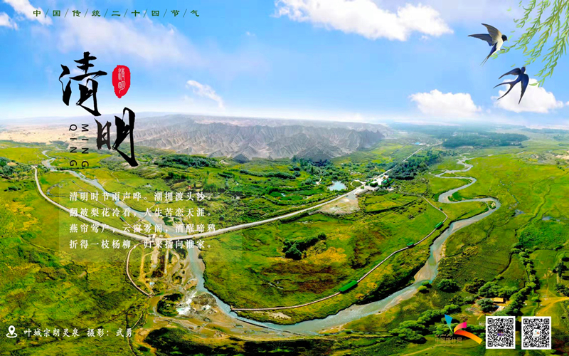 二十四节气之 清明 | 喀什杏花开 燕飞来