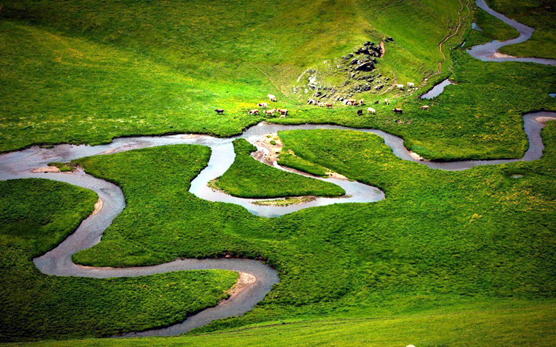 塔城塔尔巴哈台山—大自然的秘密花园
