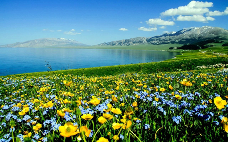 谁说新疆没有海？！