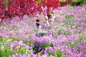 人行锦色中 乐享美好春光