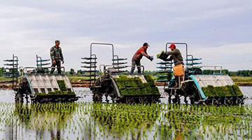 省级大员一线督战！这件事一刻也耽误不起