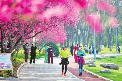 赏花踏青 运动健身