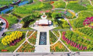 打造乡村数字平台 全面提升治理效能