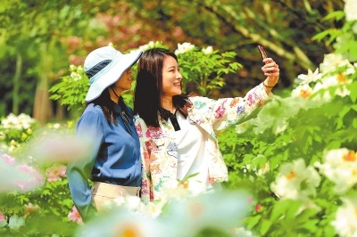 春暖花开踏青去