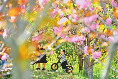 樱花园游玩赏花