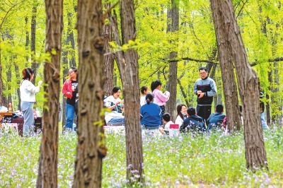 赏花踏春度周末