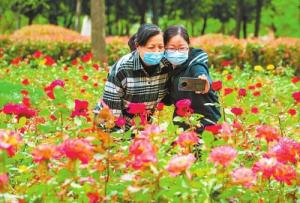 口袋公园 扮靓城市